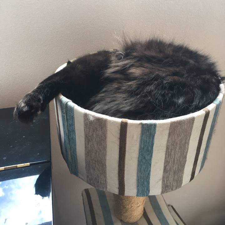 A57d716b 8e46 4db3 9af1 97589619fb47 1523588420139