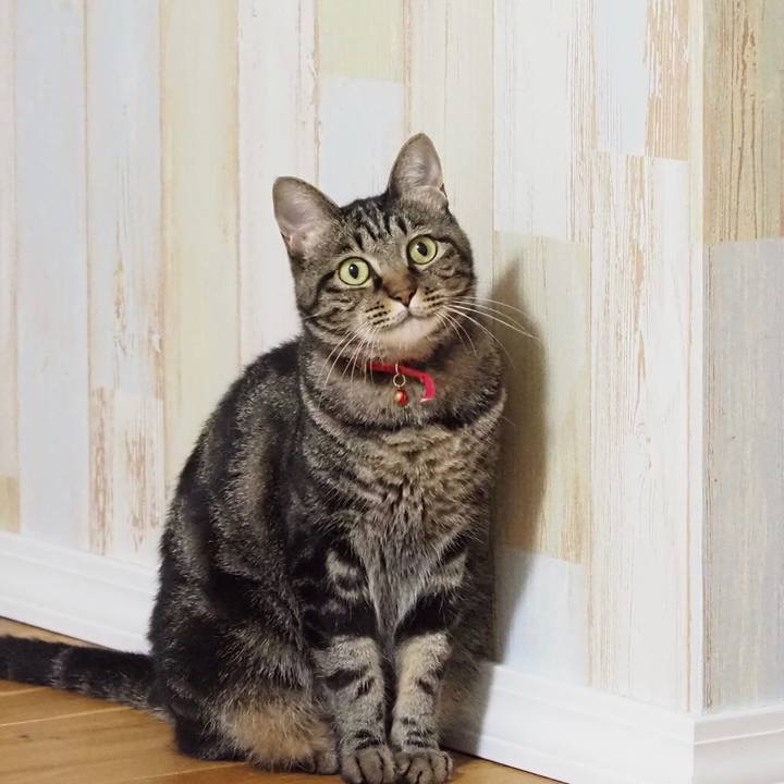 A57db75e 1683 464b 9550 cb92db1407bd 1599132685470