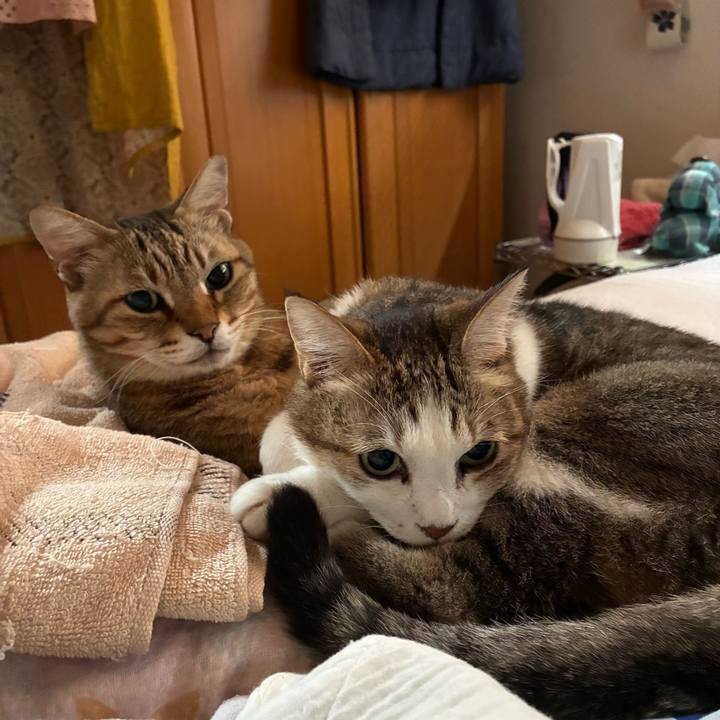 A57dc07f 9bef 415c 8468 7ed3a5c22875 1760876664083