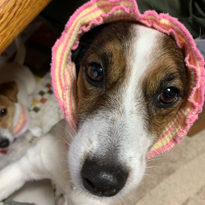 A57dd93f d756 4c3e afaf 910cb4f0c30b 1611828381023