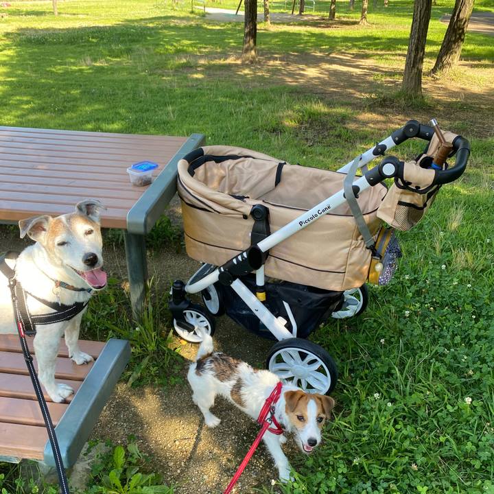 A57dded9 046a 4b8b 8031 94f243454baf 1626490035378