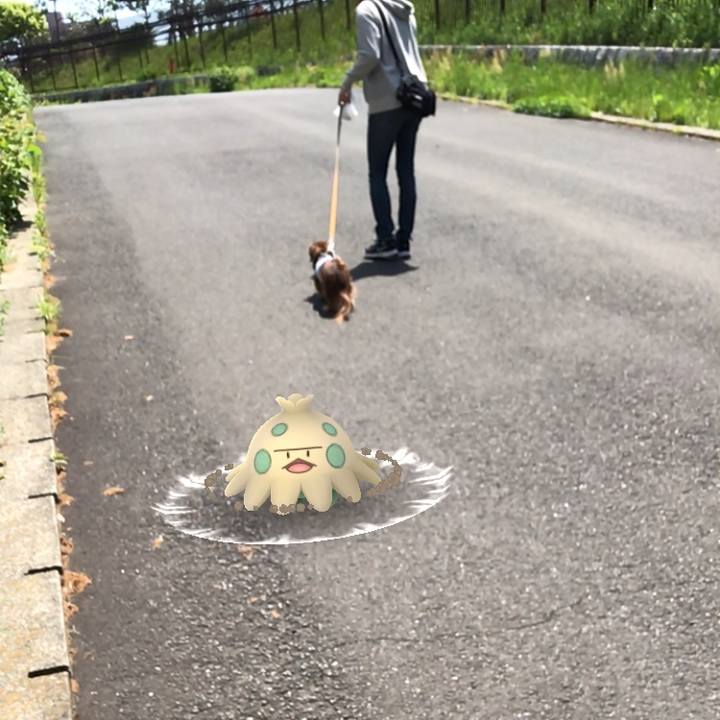 A57de1a8 8637 4aad 90ed b70f2f99ecd5 1524976973026