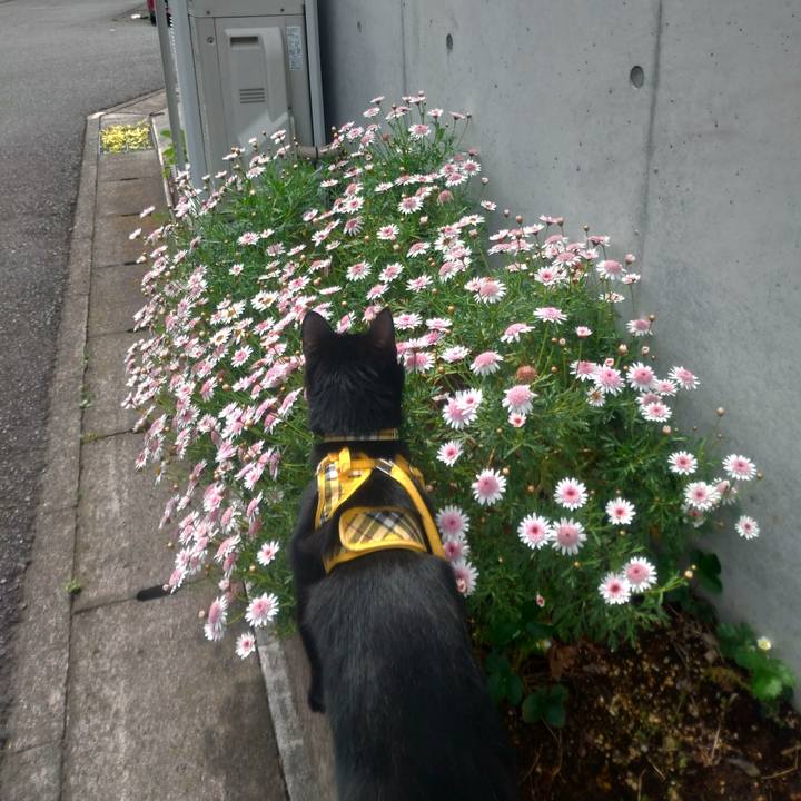 A57e49b7 8911 4d68 8e72 a2187d1398ce 1589086007566