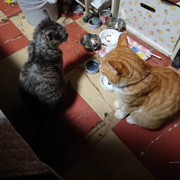 A57e6b25 14a1 4e47 9ed3 49365bee5fc5 1567540084935