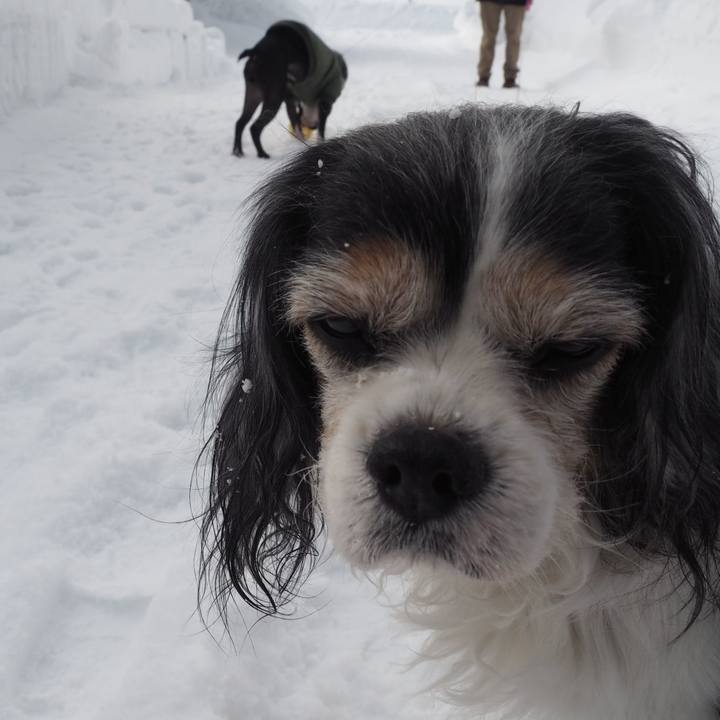 A57e7edf 9210 46ec 98de 1a179e6b04a7 1546221312350