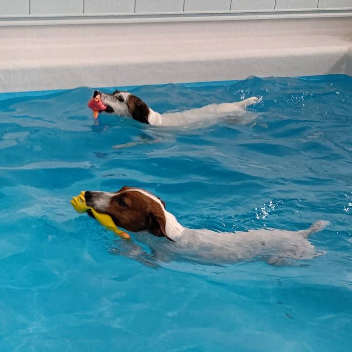 A57ee176 41b1 4580 af6e e7cf7697f59a 1660295674203