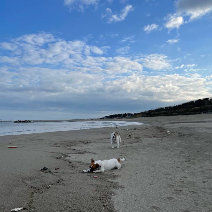 A57f0efb 9a75 495b 93b7 606b1ca984f3 1635553556842