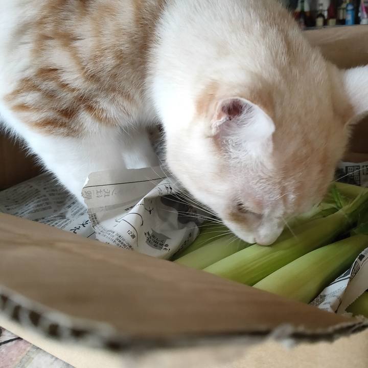 A57f140c 96f3 43bb b4f7 d765f22ea6e7 1660527380083