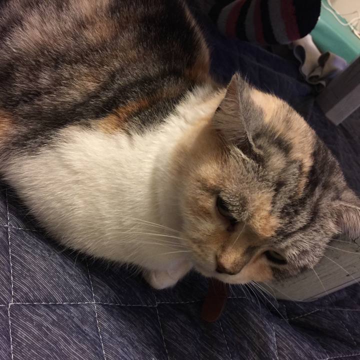 A57f170c 61cb 4653 a2cf ba3c9224036c 1549547799453