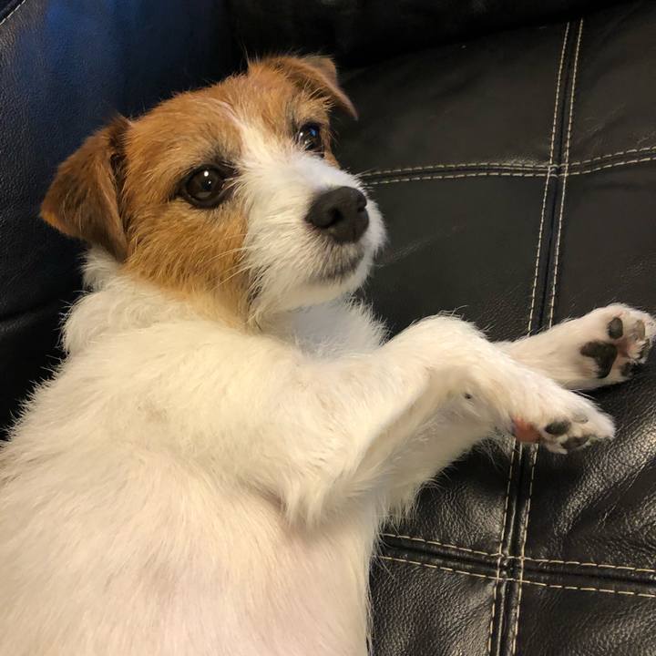 A57f2541 d3f9 4aaf 8549 2df1ef035bbc 1570273083440