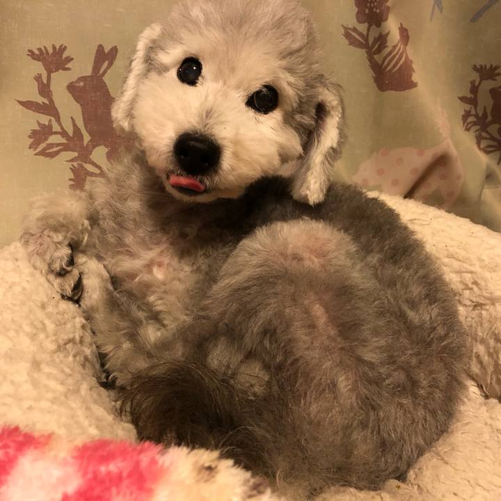 A57f44cd 91ea 4d53 b4b2 b91ea9ac549b 1604277064687