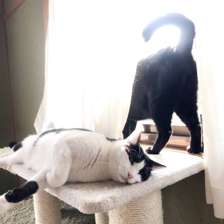 A57f4f47 231e 4127 8cc3 acde739431af 1522548588831