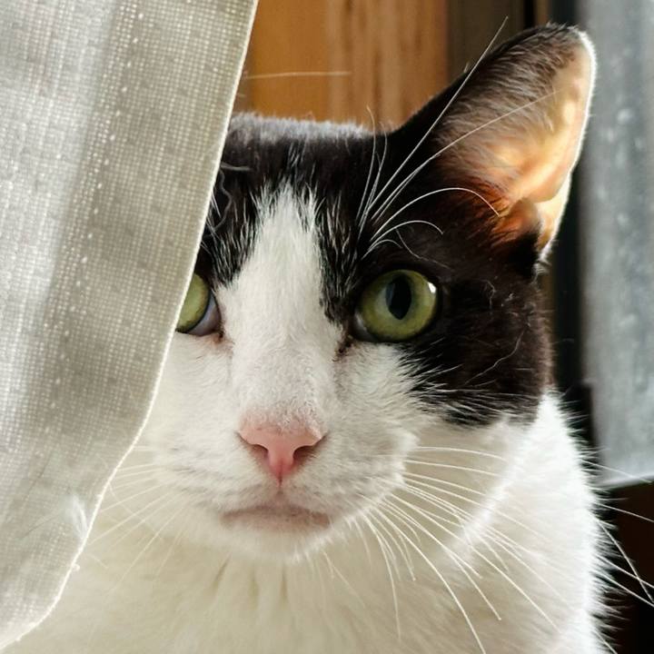 A57f5417 ba13 4565 a8c5 fe0377e864bf 1696901574331