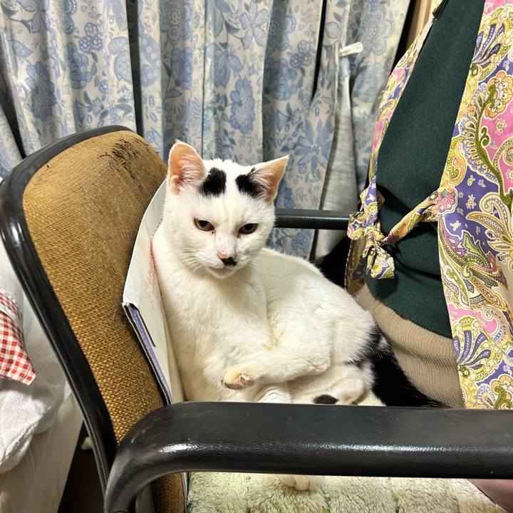 A57f944c 7045 42ff 90c0 591c073db7d7 1766461654296