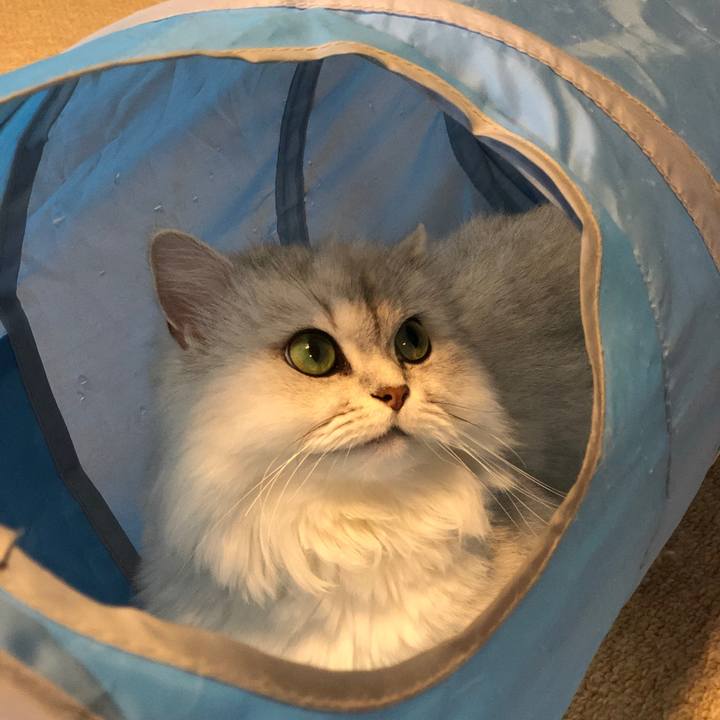 A57fb1c6 e3b4 4d88 a761 bdcea59d2a74 1563007514519