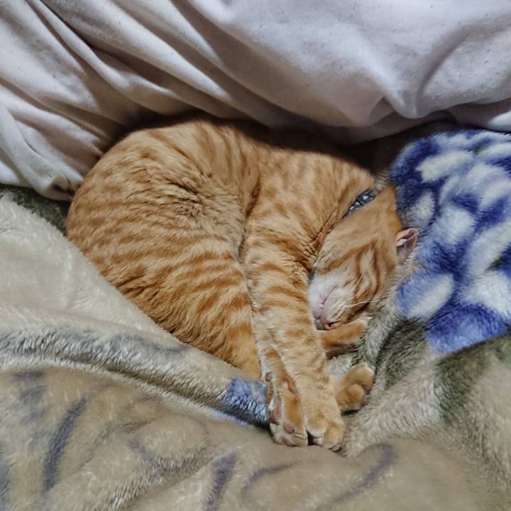 A57ffe0b e279 4b2a b1cd 703924c8b9b6 1648729323173