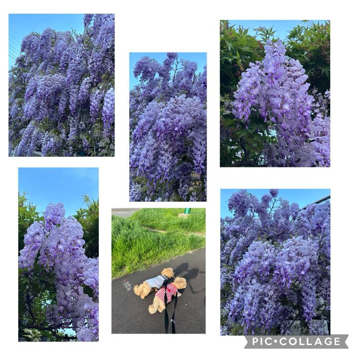 A5800792 d7b4 4efd b675 91773954477d 1713182921376