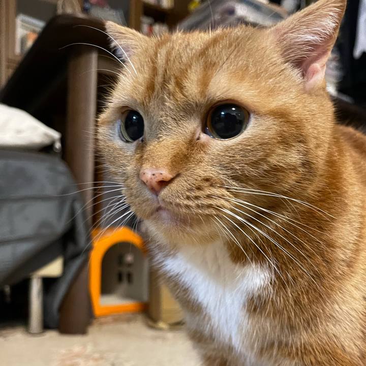 A5801697 a39a 4464 8896 ef64740bc184 1629811245080