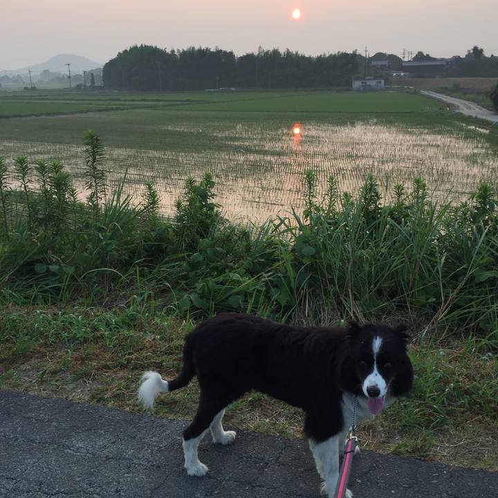 A5802c38 4ab2 49f2 8c5b 3bf6239aa707 1531860777127