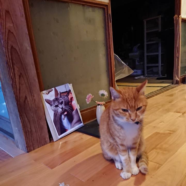 A58040de a7b0 4546 8c2c 3f1e92bd272b 1601282460036