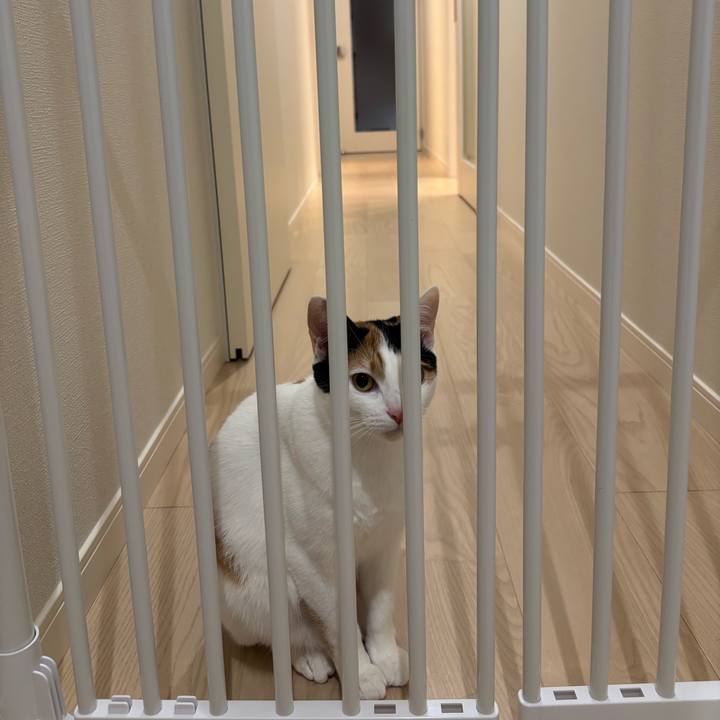 A580714f ce92 4e60 bf22 e9af03802efa 1772892263188