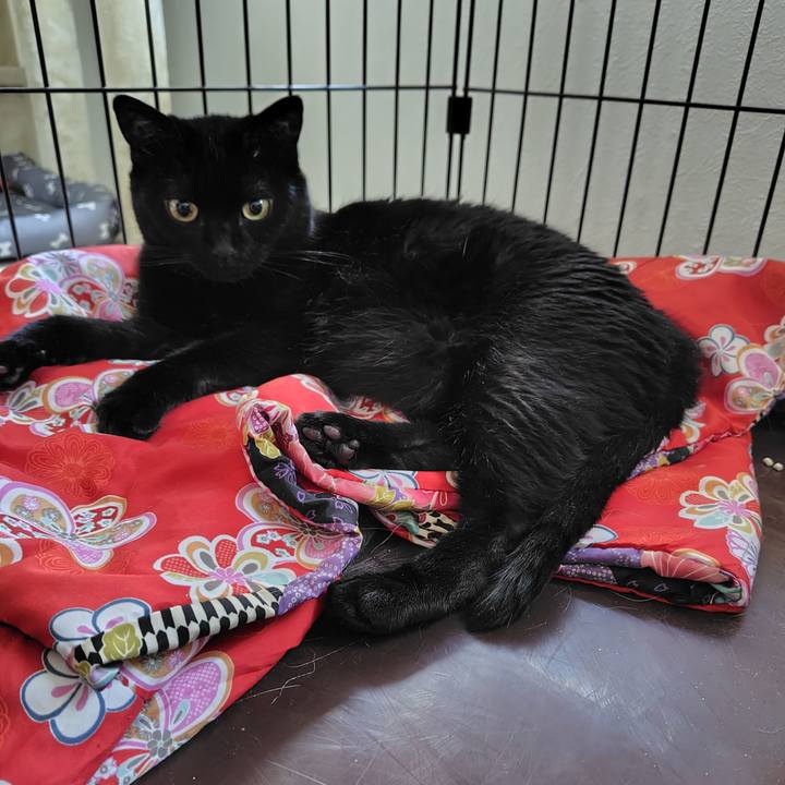 A58074f8 001b 4fcd 83bc 20b9be7cc8e0 1722206573302