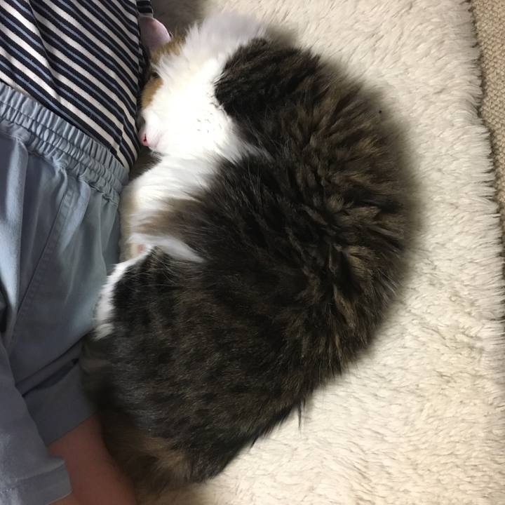 A580930e 6b8a 4c9c 9db0 7fd6adea6358 1514966778550