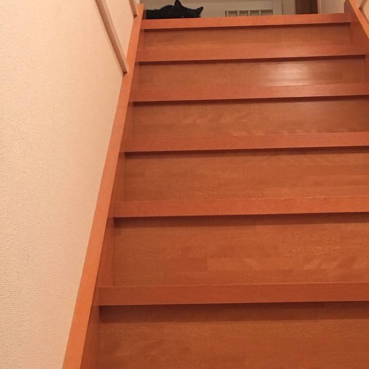 A580df89 ccef 4b91 a5d4 07b172bf51d3 1527942386405