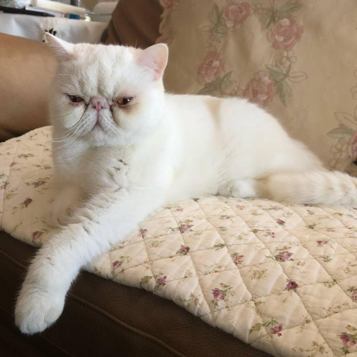 A580efc5 f895 4e69 96af 64a8962b1cf1 1632119180150