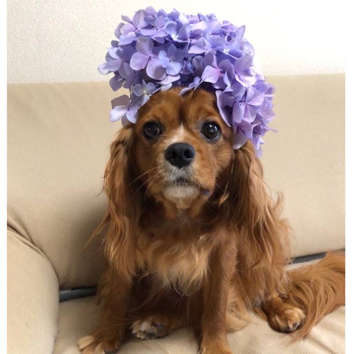 A580f456 3082 4e96 8c7d fa28cdcd0dea 1593037261206