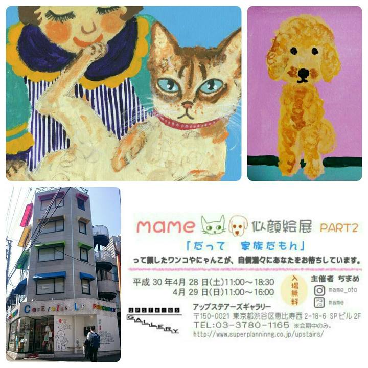 A580f50d 14a5 4238 ad03 f001b05ba686 1520769354178