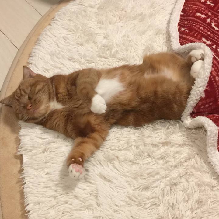 A580fc57 fcd6 4556 a03b 24c08e63de0f 1549888741593