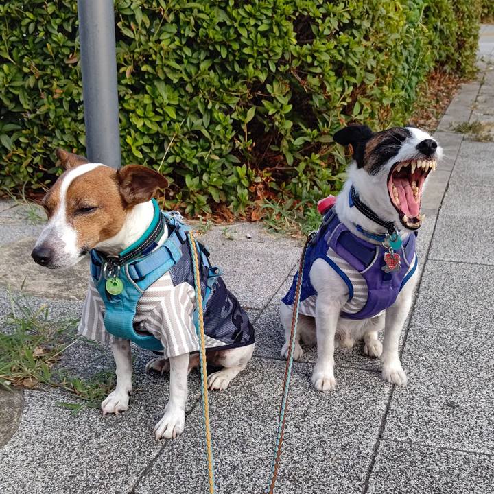 A5811da6 013f 4c9e 8a08 5caff25e4868 1691273427005