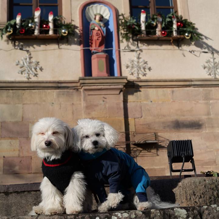 A581566b 1883 489c b1bd 893c5fbae702 1767469866366