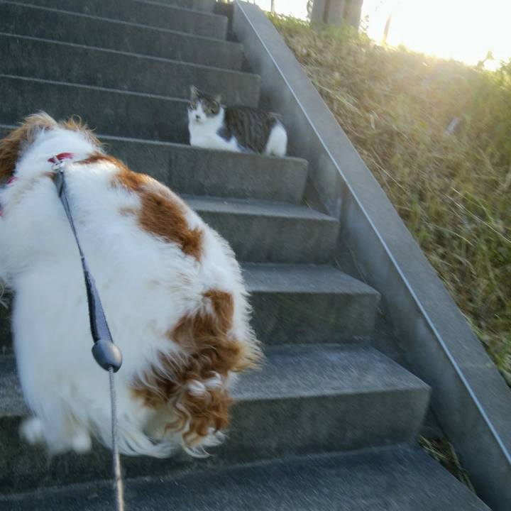 A58163ed 21b3 45ef 8a32 e3cbf8aca9f9 1558436952662