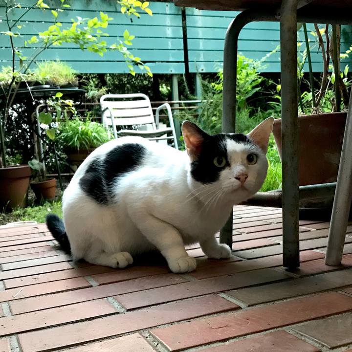 A5817a0b e566 4007 8e81 a592b42e7fd1 1533897710390