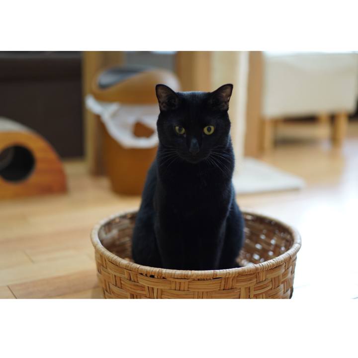 A581851c b57d 4a49 a984 b53c79284633 1566346019321