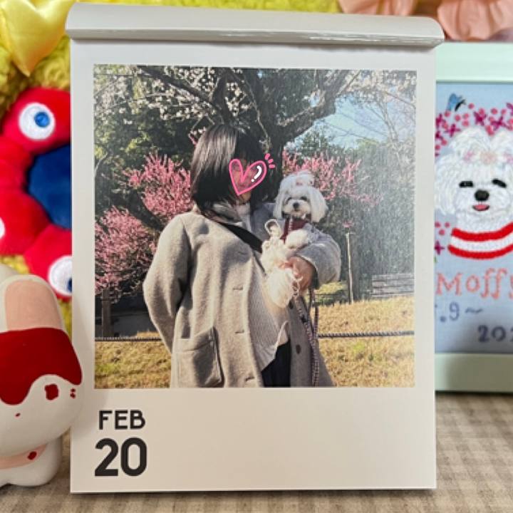 A581a910 cfed 4a28 88f5 6c9e01733c2b 1771671246220