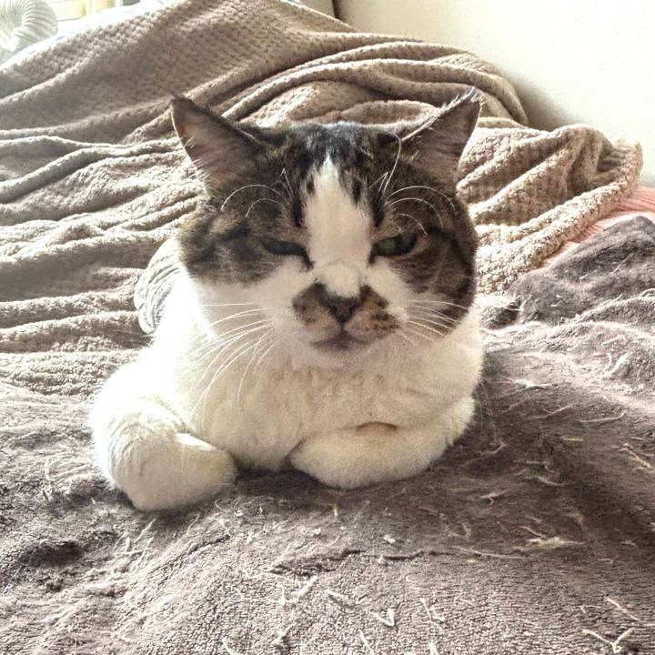 A58201b0 9d1a 4b98 a827 8f51263cd8c7 1761972568973