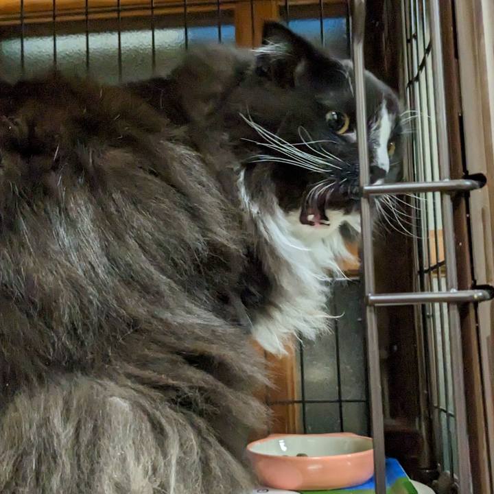 A582116e ba55 4267 8264 47093d6ba18e 1674556154419