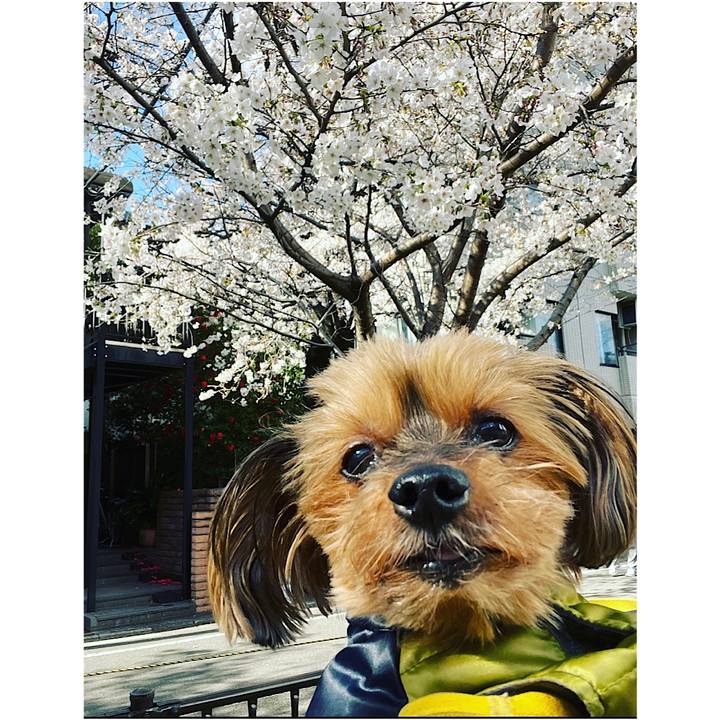 A582169e 94ef 4e64 b1fa bf7c9cde0efb 1679294740801