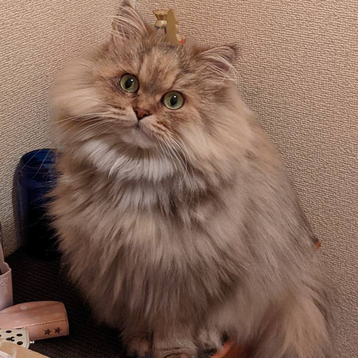 A5821eb9 c3ed 47c1 9c54 62054b92337d 1637750581156