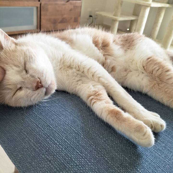 A5823cc9 80cc 4fc0 b591 a05e59868c3c 1688682609064