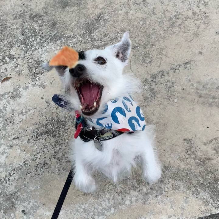 A582648f 71c7 4df6 9466 c0d25f1bfab4 1719302083505