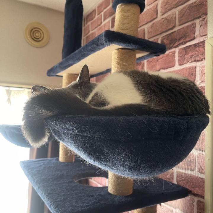 A582754f 35f5 4599 a973 3ef48973d563 1703226009889