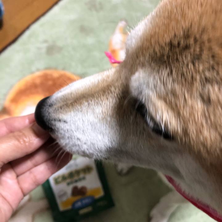 A582b8d0 a6ad 4da9 9982 ffda615dfe5f 1604665244067