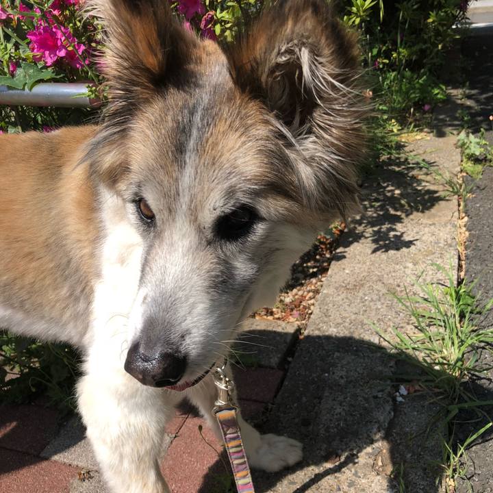 A582c173 9362 4f43 8db5 4aa04ed54872 1525484961736