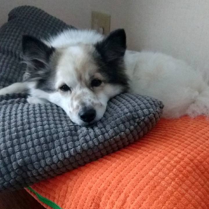 A582c6b8 e843 41bd b29b 074804d4e415 1513639142429