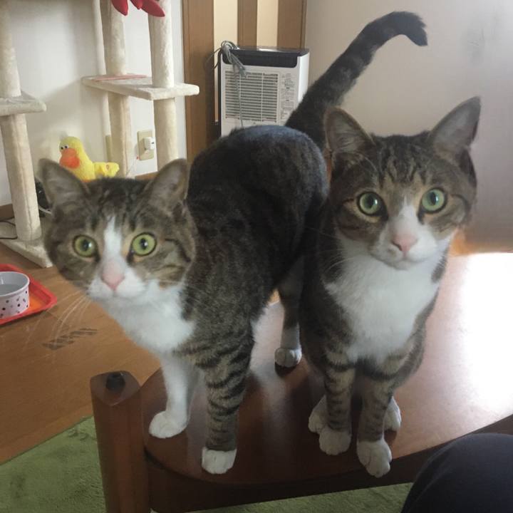 A582cd79 175e 4981 920a 231ff94ffb31 1706312455558