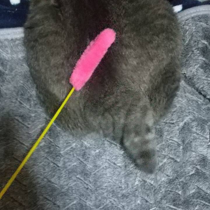 A582d7bf 6d70 4cfe 9a44 a84de35bc5f9 1669038132094